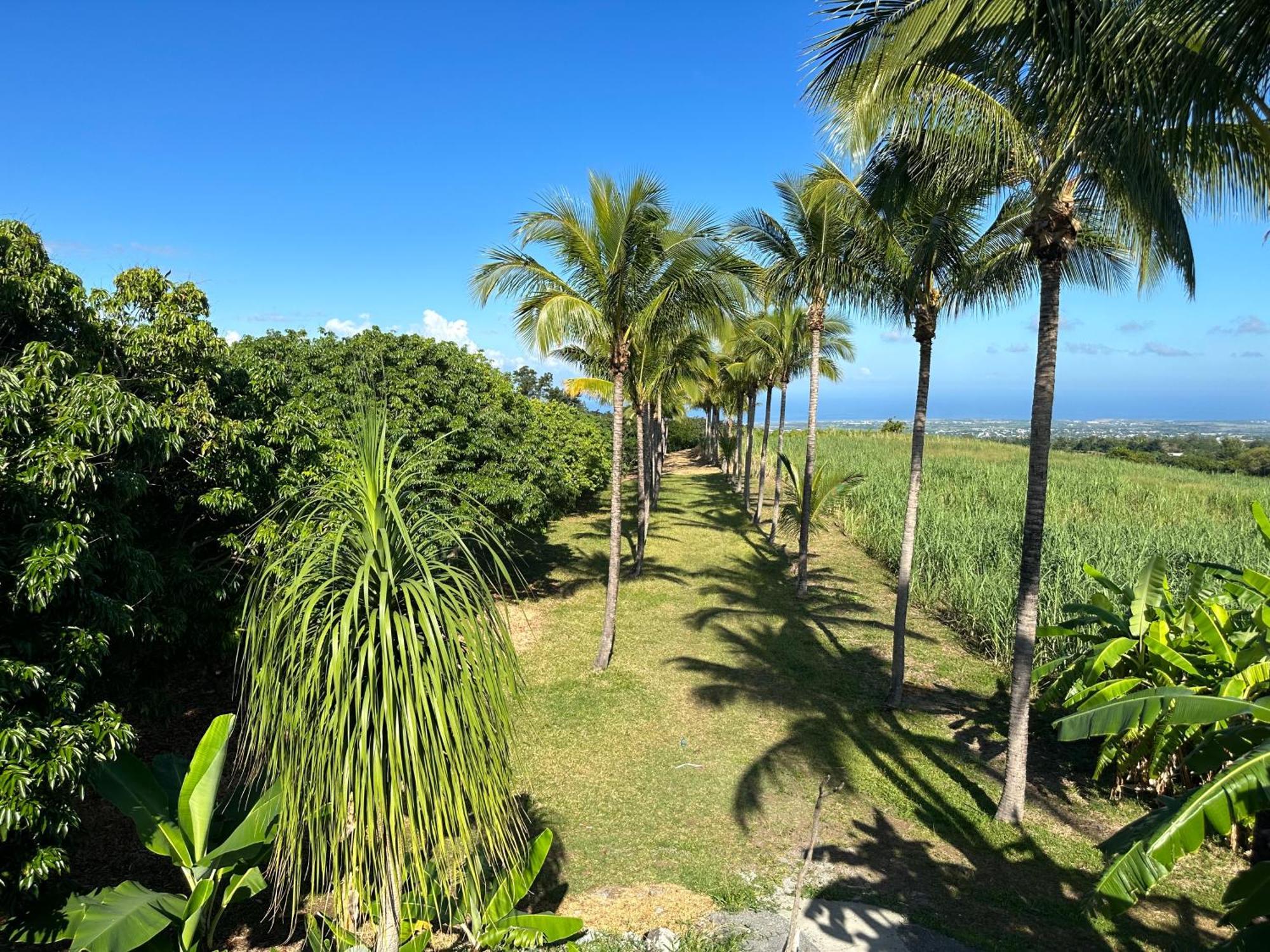 Bed and Breakfast Zoiseaux Pays Saint Pierre Exterior foto